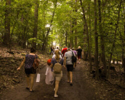 Visit Johnstown PA Partner Stackhouse Park