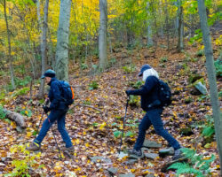 Visit Johnstown PA Partner Lorain / Stonycreek Hiking Trails
