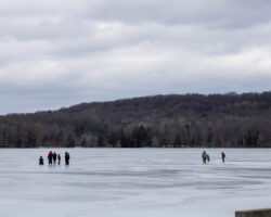 Prince Gallitzin State Park Visit Johnstown
