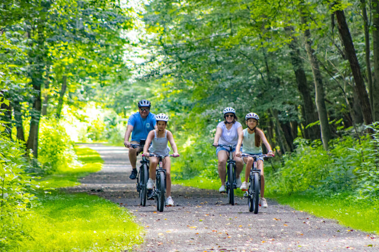 The Path of the Flood Trail Visit Johnstown