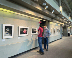 Southern Alleghenies Museum of Art