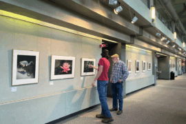 Southern Alleghenies Museum of Art