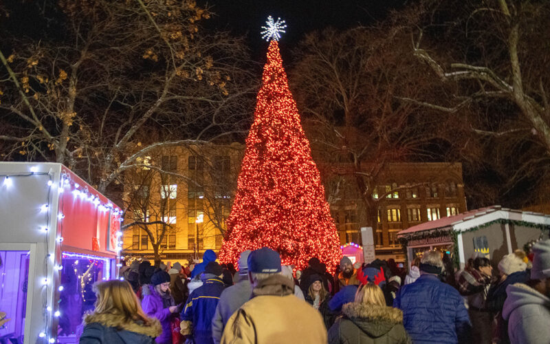 The Christmas Tree in Central Park - A Holiday Tradition