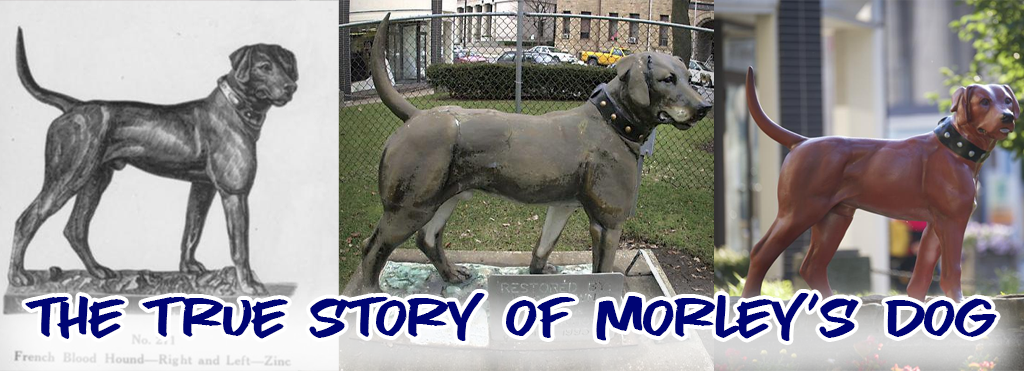 Johnstown's Famous Morley's Dog