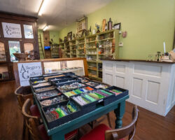 Allegory-Gallery