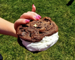 Krispy Kream Drive In