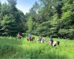 Greater Johnstown Saddle Club