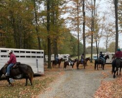 Greater Johnstown Saddle Club